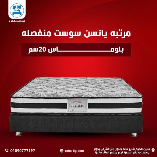 558868341_1208016398015244_3374443383548098426_n