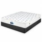 مرتبة إنجلندر مارفي 20 سم | Englander Marfy Pocket Spring Mattress